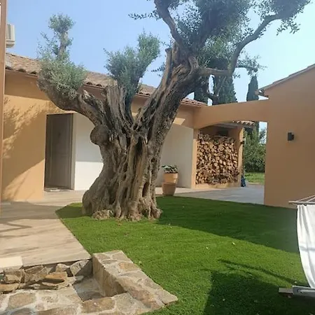 Jolie Avec Vue Bormes-les-Mimosas