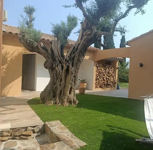 Jolie Avec Vue Bormes-les-Mimosas
